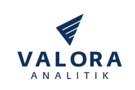 LOGOS VALORA ANALITIK-03 (1)